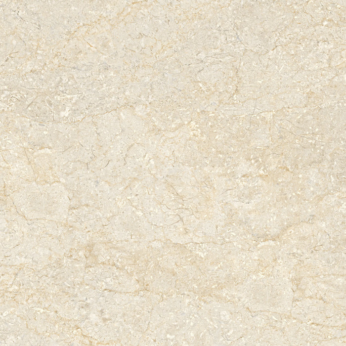 VARSOVIA IVORY BR G N TR AT DI(MX 60X60