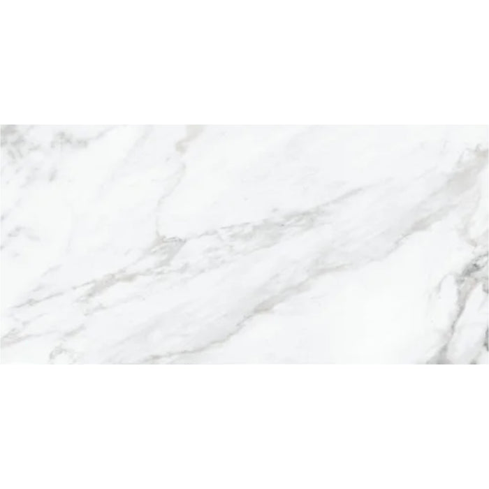STATUARIO 120 PE N R DI(IN 60X120 MATE 1