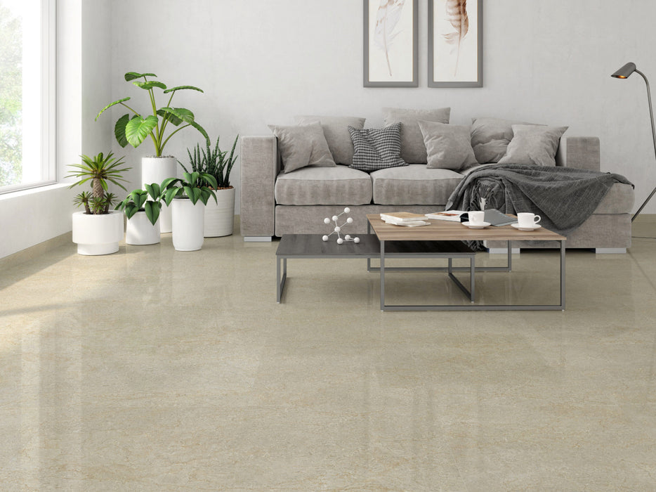 VARSOVIA IVORY BR G N TR AT DI(MX 60X60