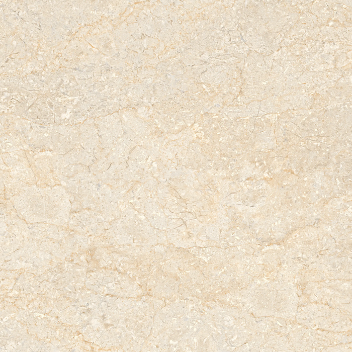 VARSOVIA IVORY BR G N TR AT DI(MX 60X60