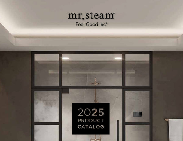 Mr Steam