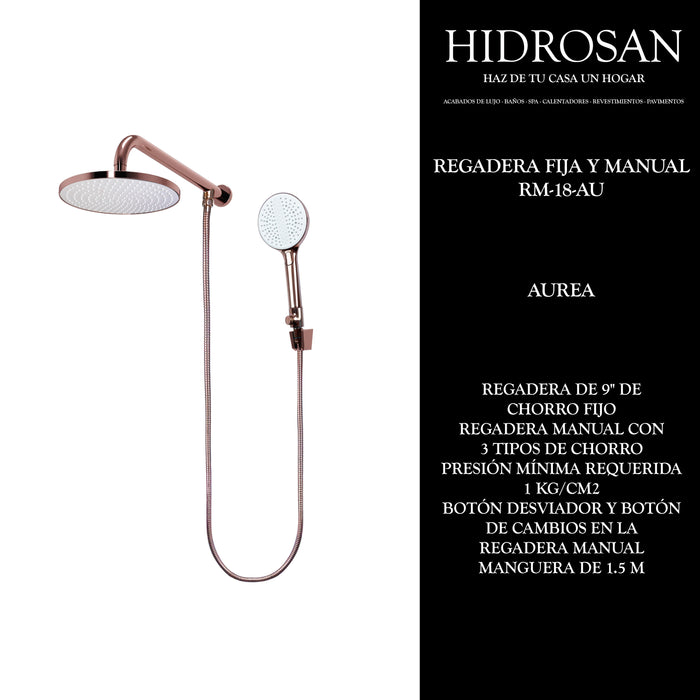 Regadera Fija 9" y Manual Cdesv 3ch RG H